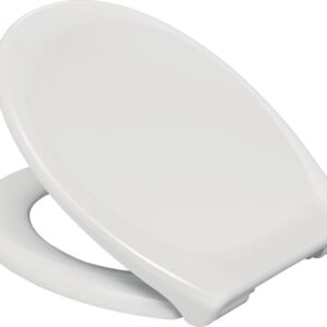 ALTERNA Declips soft close and removable toilet seat 45x37.6 cm, Ref. 95900311. Shop for premium plumbing and electrical products at Nigeria-Materiels.com. We deliver quality and reliability.