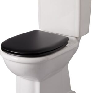 ALTERNA black toilet seat, Ref.RAMSES AB NOIR. Nigeria-Materiels.com provides top-notch electrical and construction materials. Your projects deserve the best.