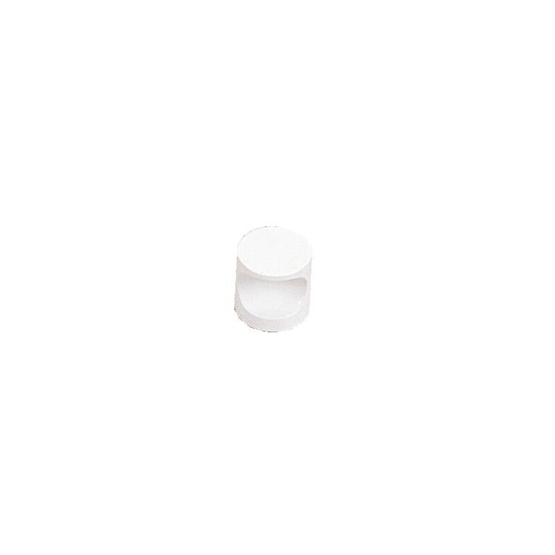 Notched button n°4 aluminum white finish Ø 20 mm. Discover the best industrial and plumbing supplies at Nigeria-Materiels.com. We are your trusted partner.