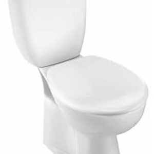 Brive toilet bowl vertical outlet White ref E438100. Discover premium industrial and plumbing products at Nigeria-Materiels.com. We deliver excellence in every order.