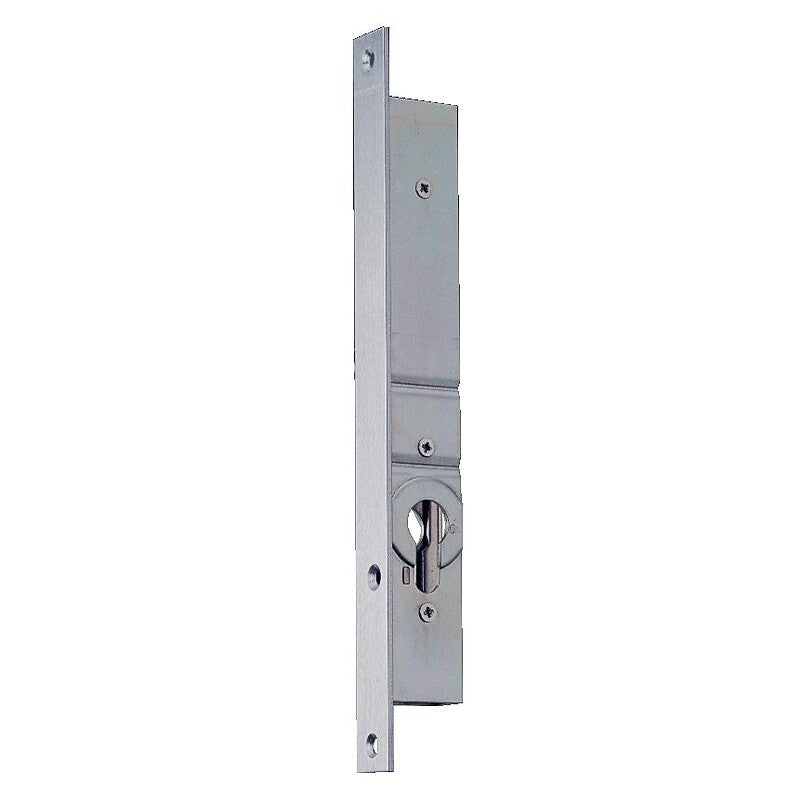 2-point mortise lock with top and bottom locking rods, 21 mm axle - Variaxe 2253. Discover premium industrial and plumbing products at Nigeria-Materiels.com. We deliver excellence in every order.