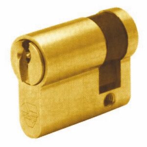 EUROPEAN PROFILE HALF CYLINDER EUROPA SERIES 40 MM (30X10) BRASS 3 KEYS. Discover premium industrial and plumbing products at Nigeria-Materiels.com. We deliver excellence in every order.